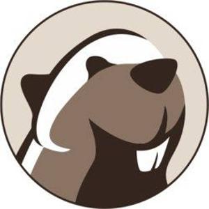 DBeaver logo