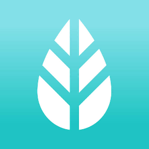 MoreApp Forms logo