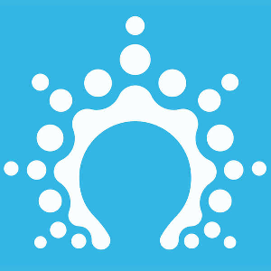 Salesflare logo