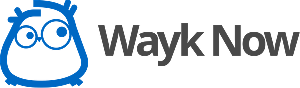 Wayk Now logo
